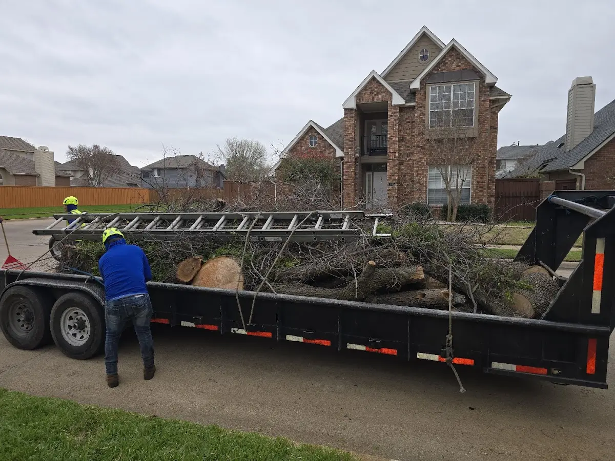 Expert Crown Reduction with proper safety equipment in Galesburg